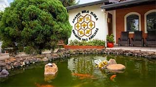 Apiário Bela Flora - Recanto das Abelhas