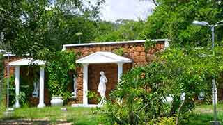 Fonte Almeida Salles