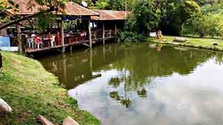 Pesqueiro dos Angicos