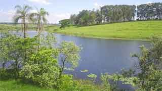 Represa Das Palmeiras