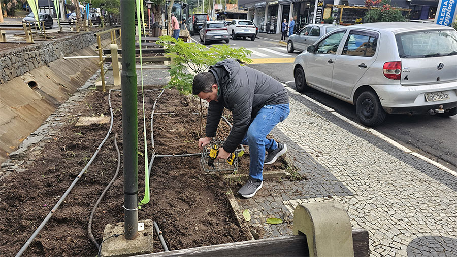 Prefeitura realiza mutirão de limpeza e manutenção na Avenida Carlos Mauro